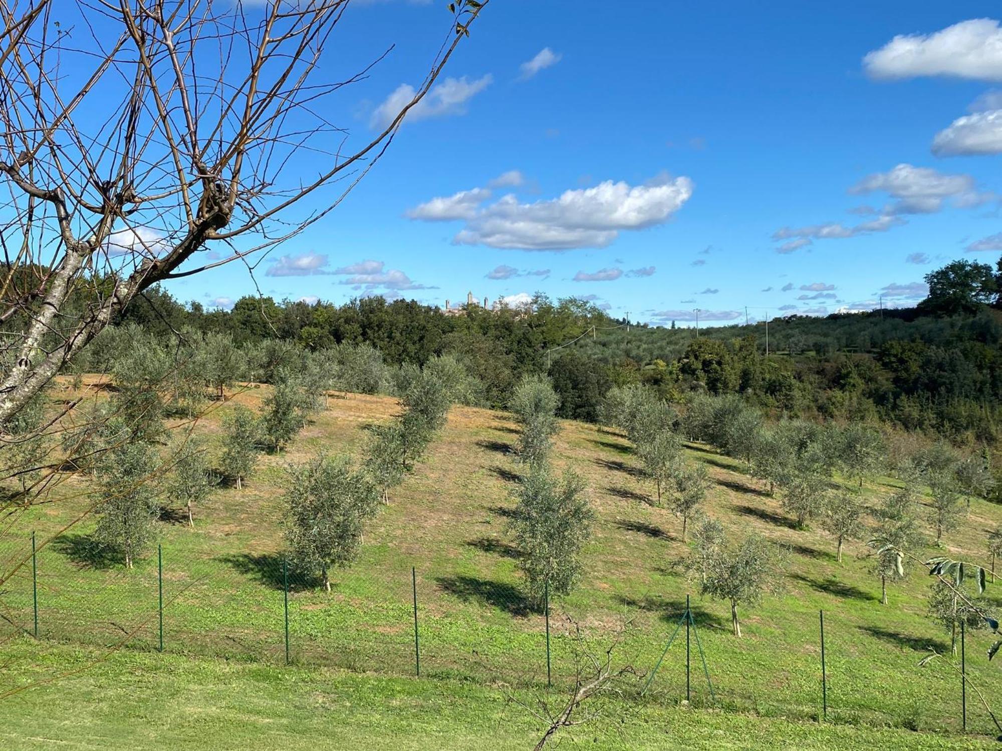 Podere Casanuova San Gimignano Exterior foto