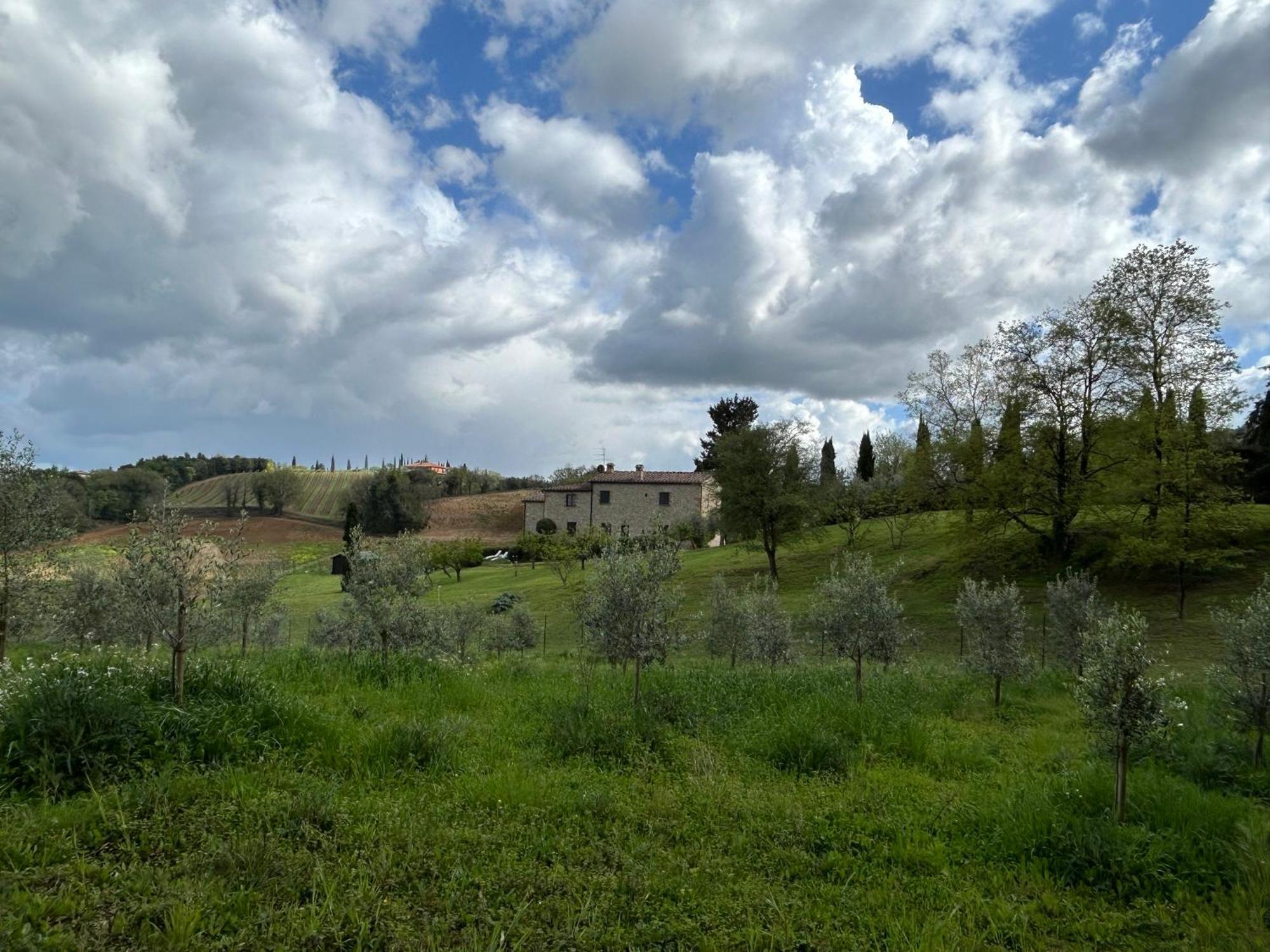 Podere Casanuova San Gimignano Exterior foto